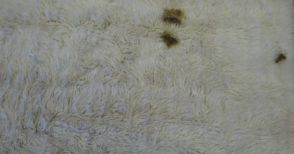 Rug Master When You Have a Dirty Wool Flokati Rug, Let Us Take Care of the Cleaning For You