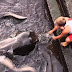 This kid was playing with a very odd friend.. When I realized what it was my jaw dropped!