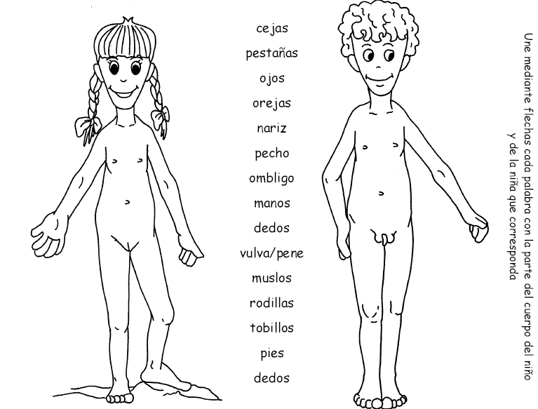 DIBUJO SOBRE EL CUERPO HUMANO dibujo sobre el cuerpo humano: