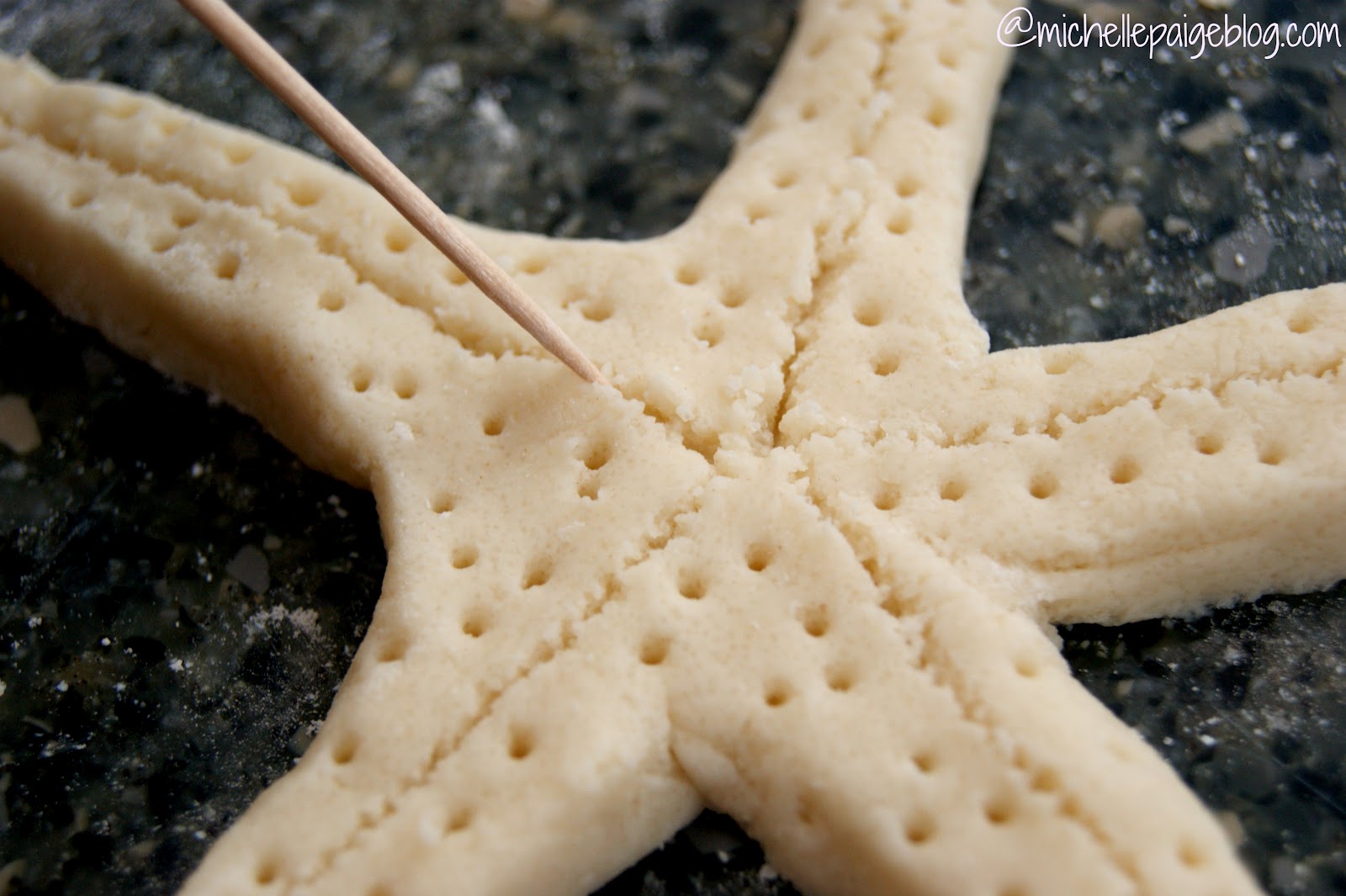 michelle paige blogs Salt Dough Starfish