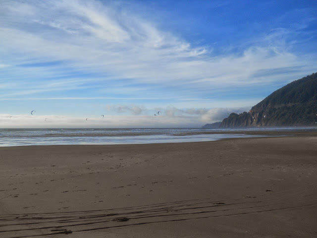 Manzanita beach