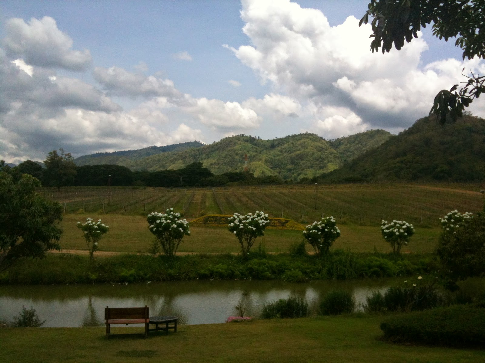 http://koruthailand.blogspot.com/2014/10/places-to-visit-in-khao-yai.html 한러커플의 태국 사는 이야기>>>: 카오야이 가볼만한 곳 Places to ...