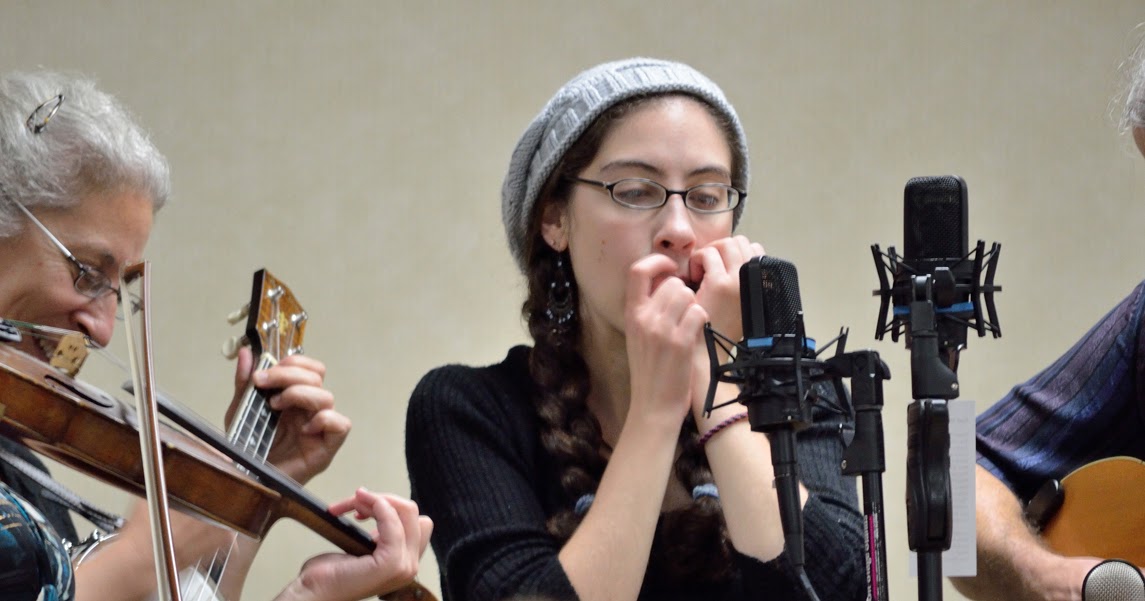 The Homegrown String Band Wind Gap, PA August 2, 2013