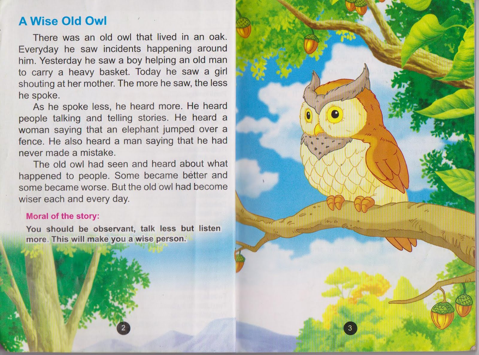 Compare and contrast plant and animal cells essay