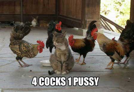 4 Cocks 1 Pussy