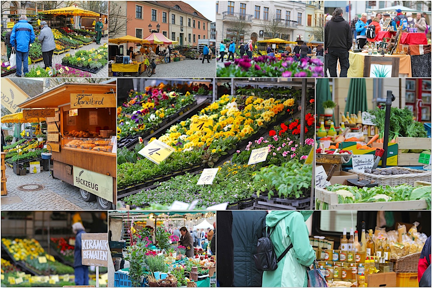 Blumen- und Pflanzenmarkt in Bernau 2 Bernau LIVE - Dein Stadtmagazin für Bernau bei Berlin