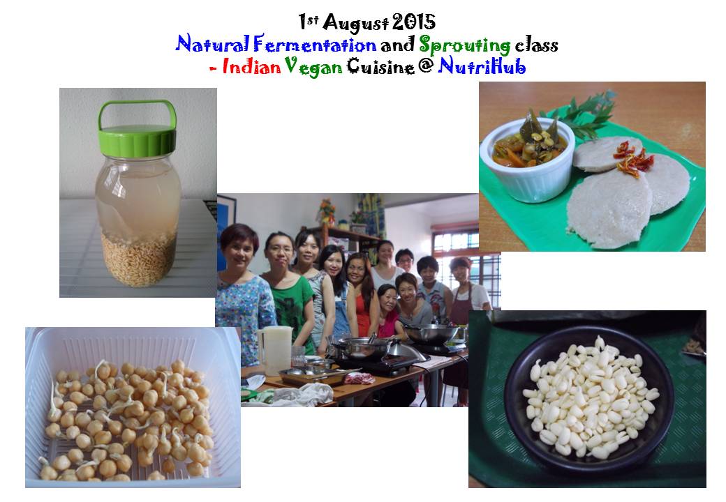 Natural Fermentation & Sprouting class by Vinitha