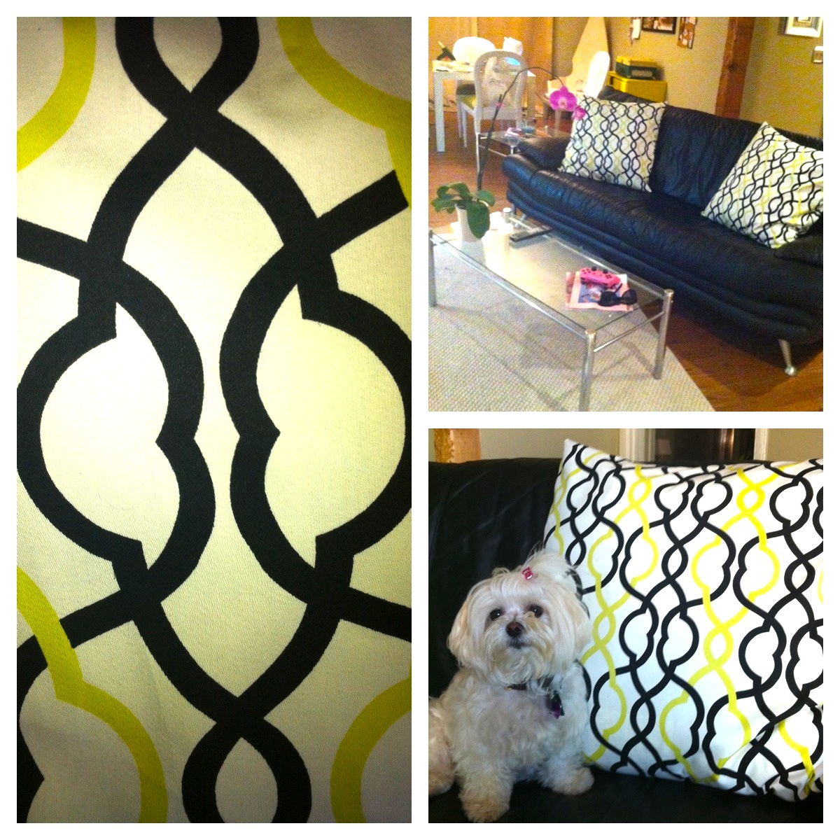 The Okie Gypsy Decorative Pillows (24" x 24")