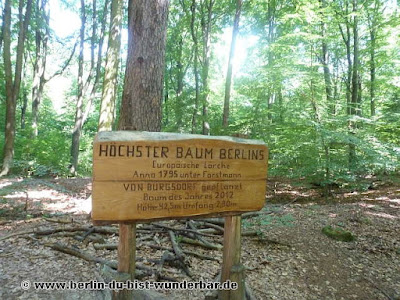 Berlin, bilder, verschiedene, bekannte, unbekannte orte, Sehenswürdigkeiten, denkmal