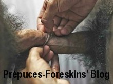 PREPUCES-FORESKINS' BLOG