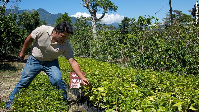 [Image: su-quyen-ru-cua-panama-3.jpg]