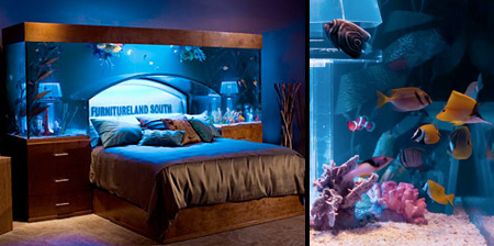 Desain Lu Aquarium | desain kamar tidur dengan interior aquarium desain rumah Desain Lu Aquarium | desain kamar tidur dengan interior aquarium desain rumah