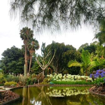 Jardines Marquesa de Arucas, Gran Canaria