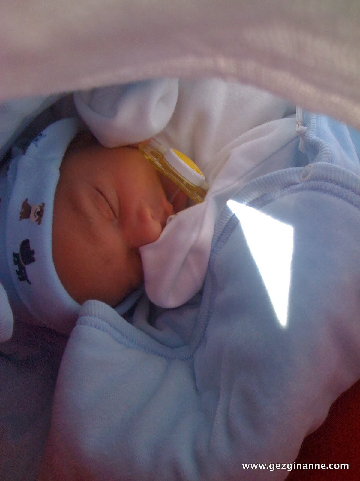 Gezgin Anne Şubat 2014