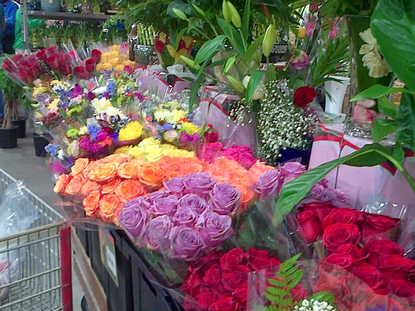 View from the Birdhouse A Trip to the DeKalb Farmers Market