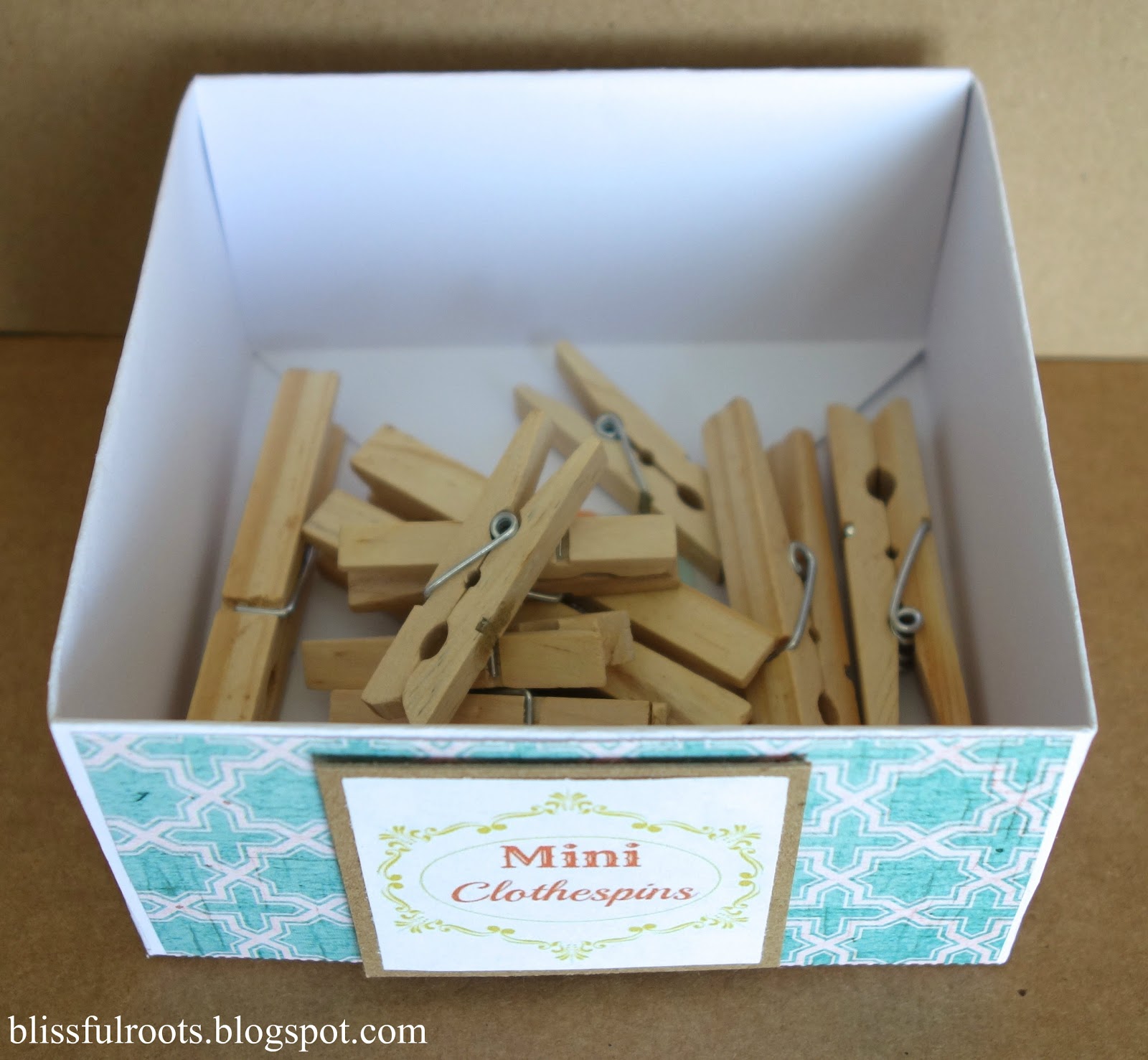 BLISSFUL ROOTS DIY Storage Boxes