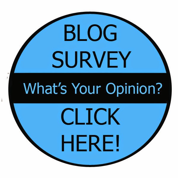 Blog Survey