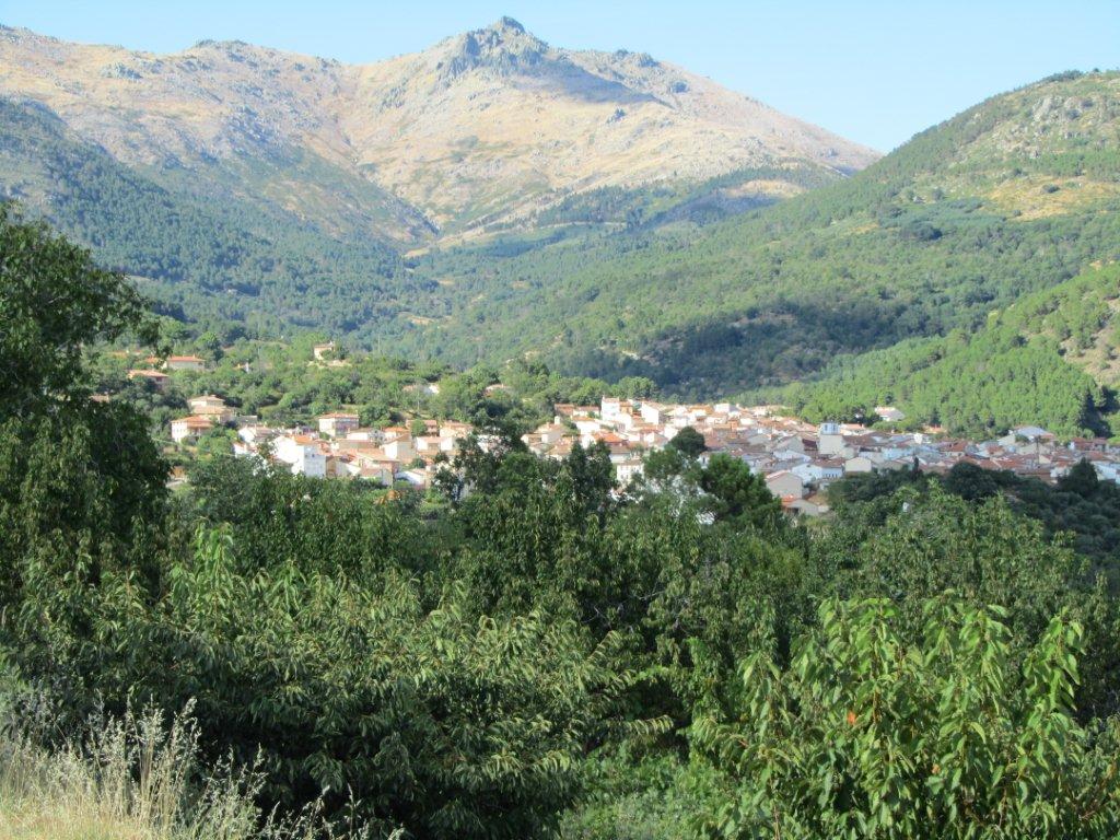 Casillo Tío Nico EL ARENAL