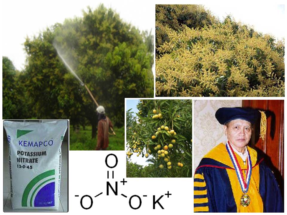 FILIPINO DISCOVERIES, INVENTIONS, INNOVATIONS and PRODUCTS Induce