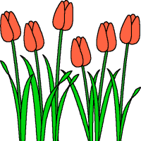 Fairfield High School Spring