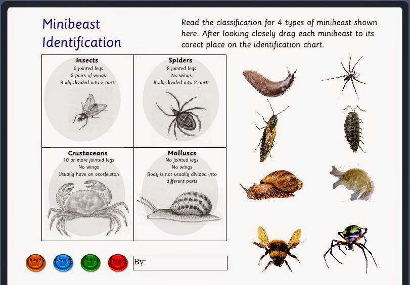 Anatomy and physiology study guide: Invertebrates Habitats