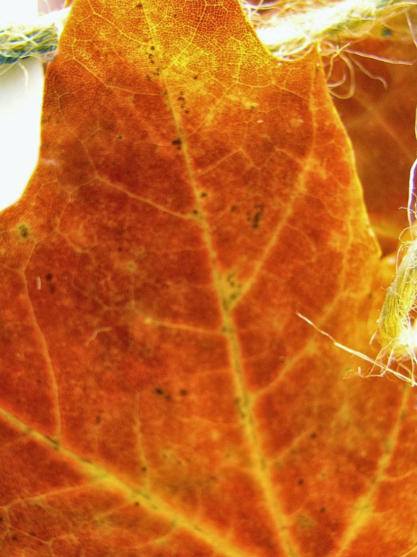 How to Make Soap Leaves for FUN!! Crafts a la mode