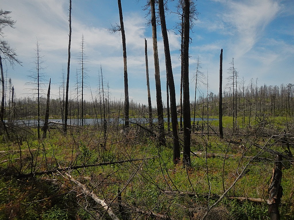 American Grouch Hiking the Boundary Waters Canoe Area Wilderness