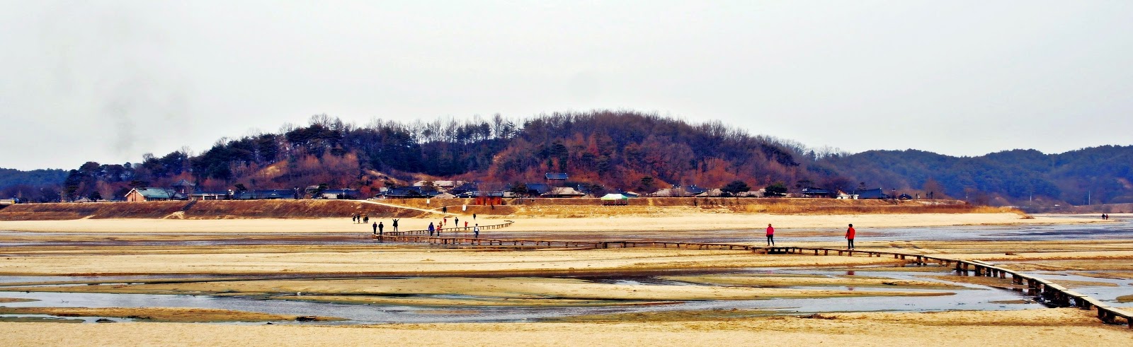 Yeongju Single Log Bridge Festival (무섬외나무다리축제) Yeongju Museom Single Log Bridge Yeongju Museom Single Log Bridge (무섬외나무다리)무섬외나무다리 | meheartseoul.blogspot.com