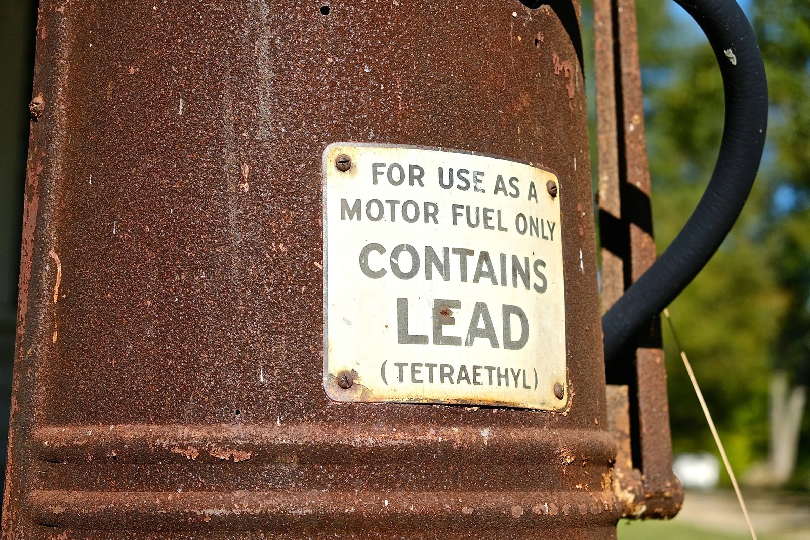 Andrea and Guido Across the U.S., Day 20 Greenville (SC) to Columbia