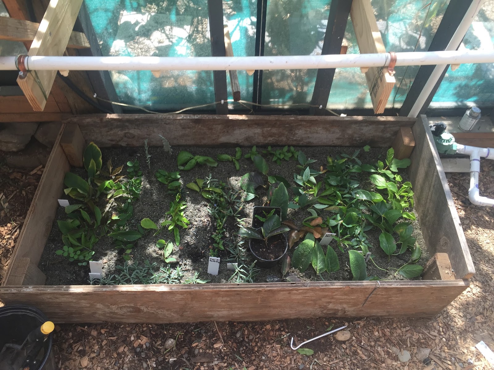 adventures with a tubie DIY Plant Propagation Misting System using an