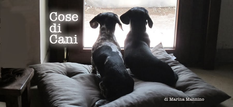 Cose di Cani