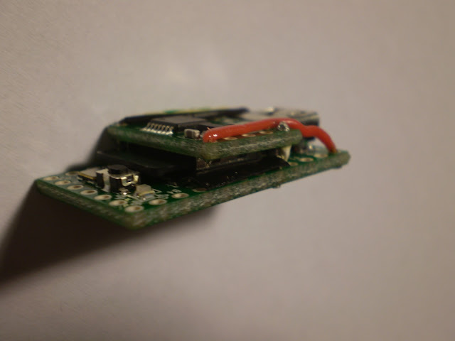 PB070028.JPG