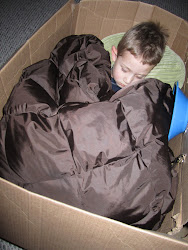 Asleep in his "car" box