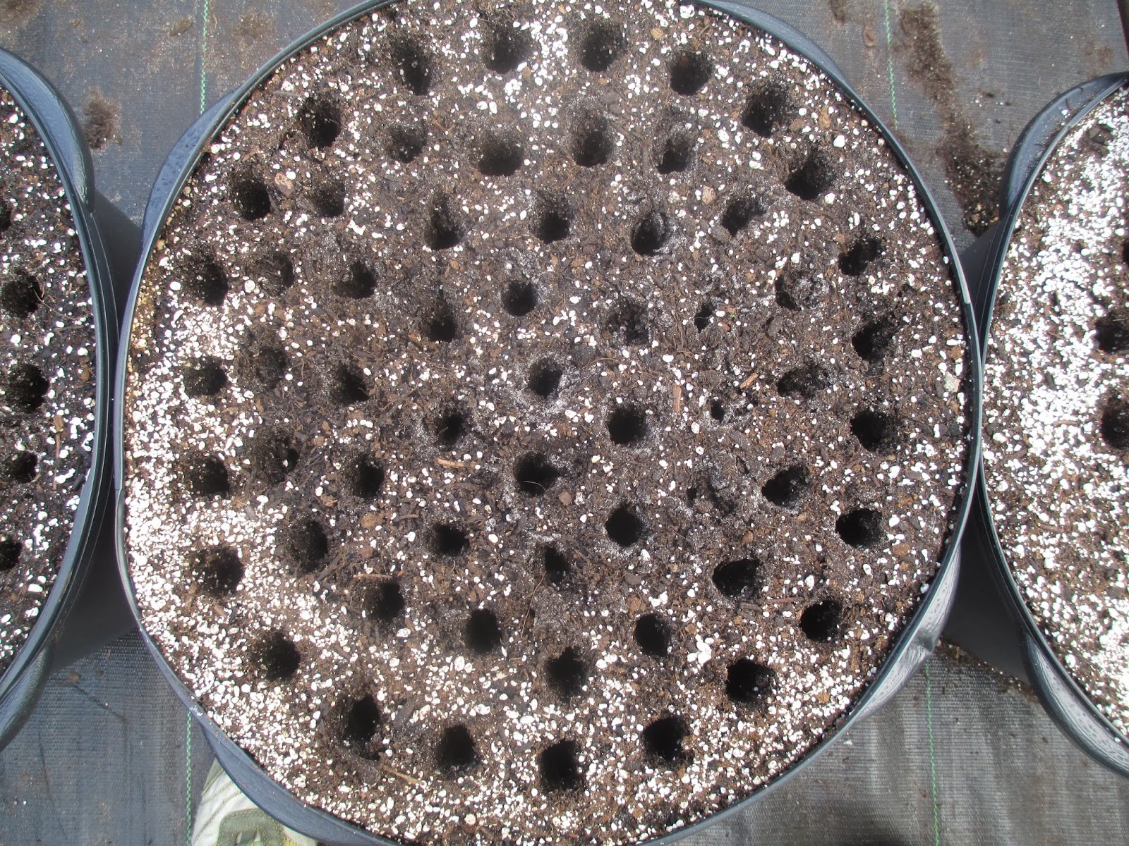 Maple Hill 101: Farm School Fall Series Week Twelve