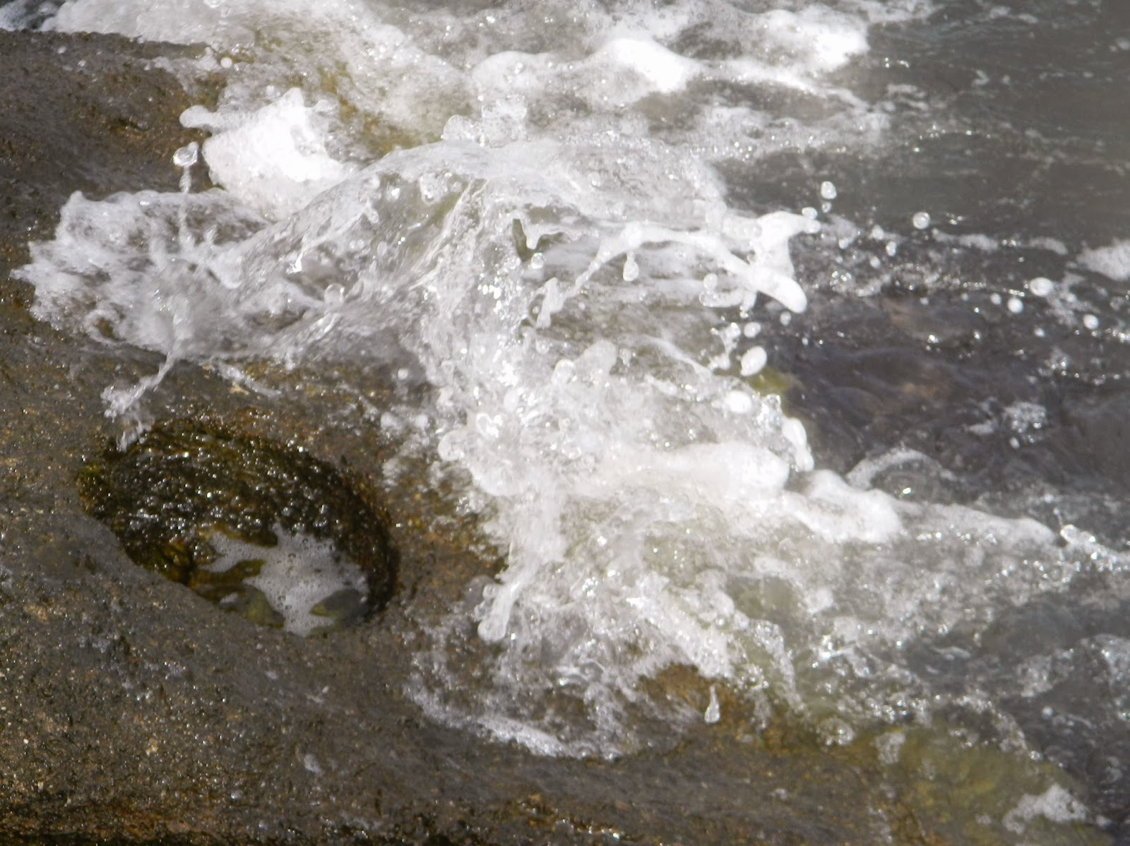 Lise's Log Cabin Life: River Dance
