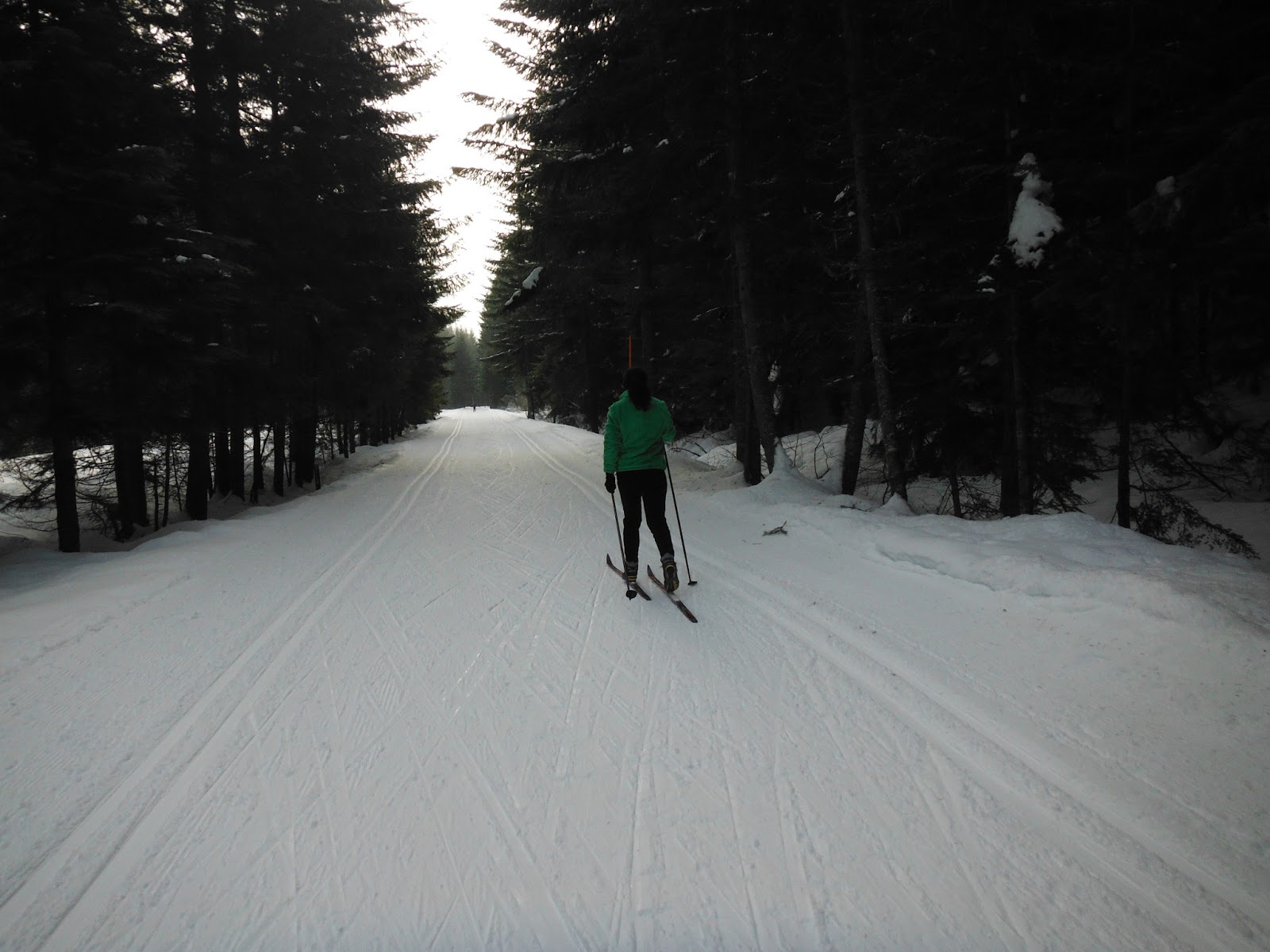 Pacific Northwest Seasons Cross Country Skiing the Iron Horse Trail