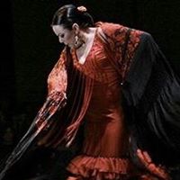 El flamenco de Susana