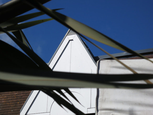 Sharp leaves cut across a white pointed roof in front of deep blue sky.