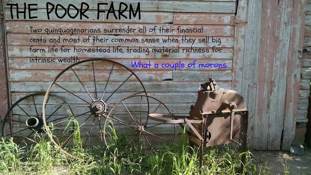 The Poor Farm