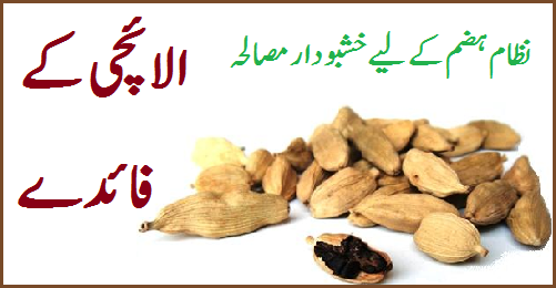 Darakhton ke faide essay