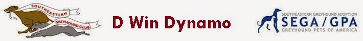 D Win Dynamo