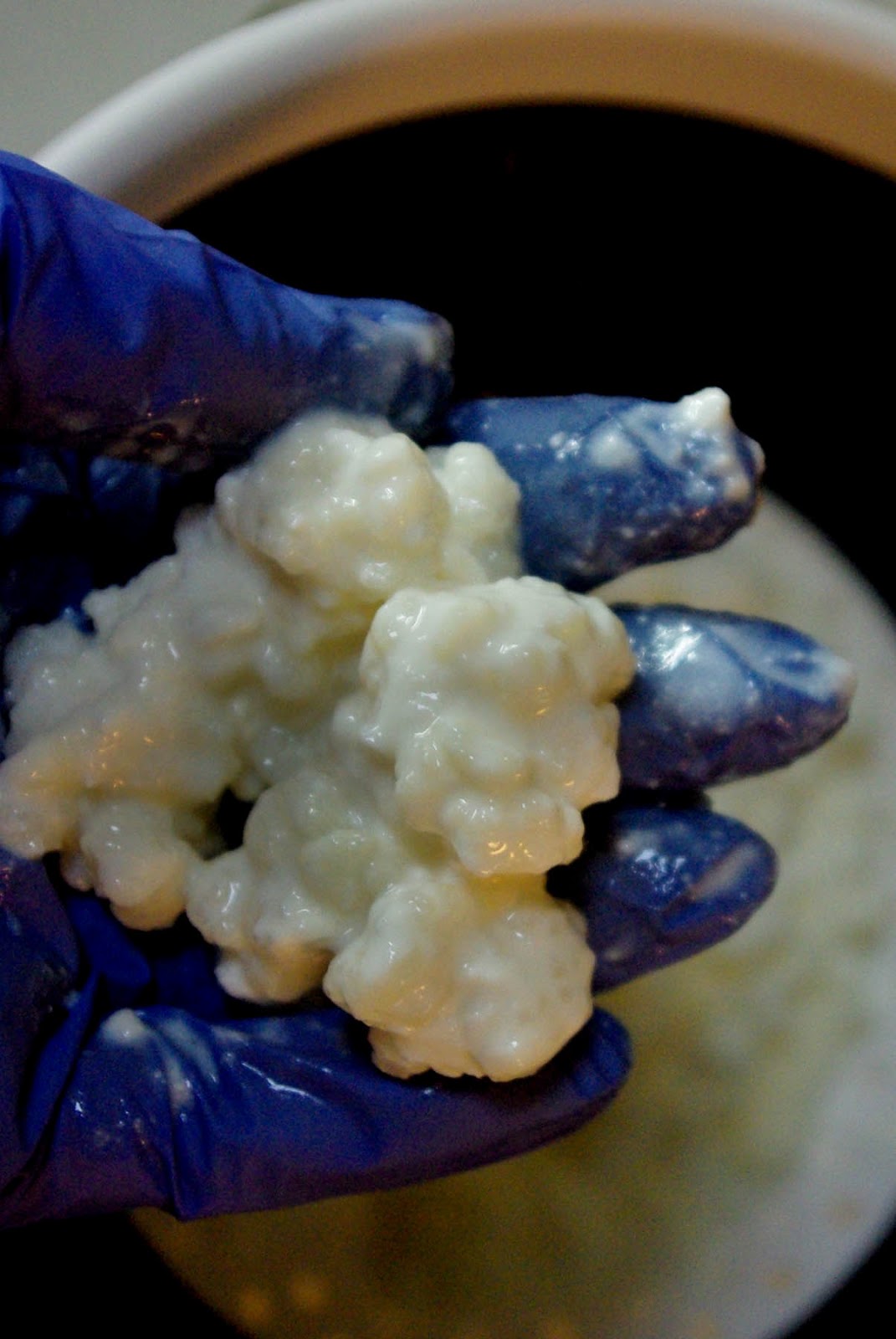 A View From The Cottage Making Kefir