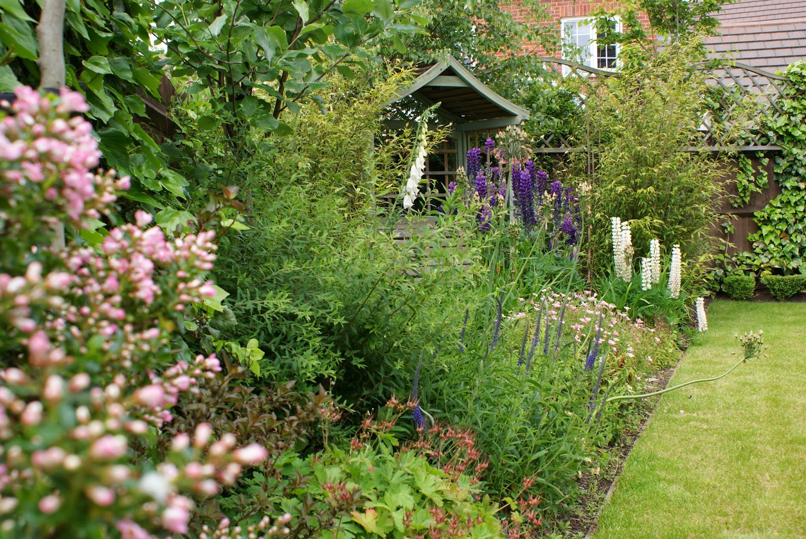 Traditional garden design with flower borders | Garden ...