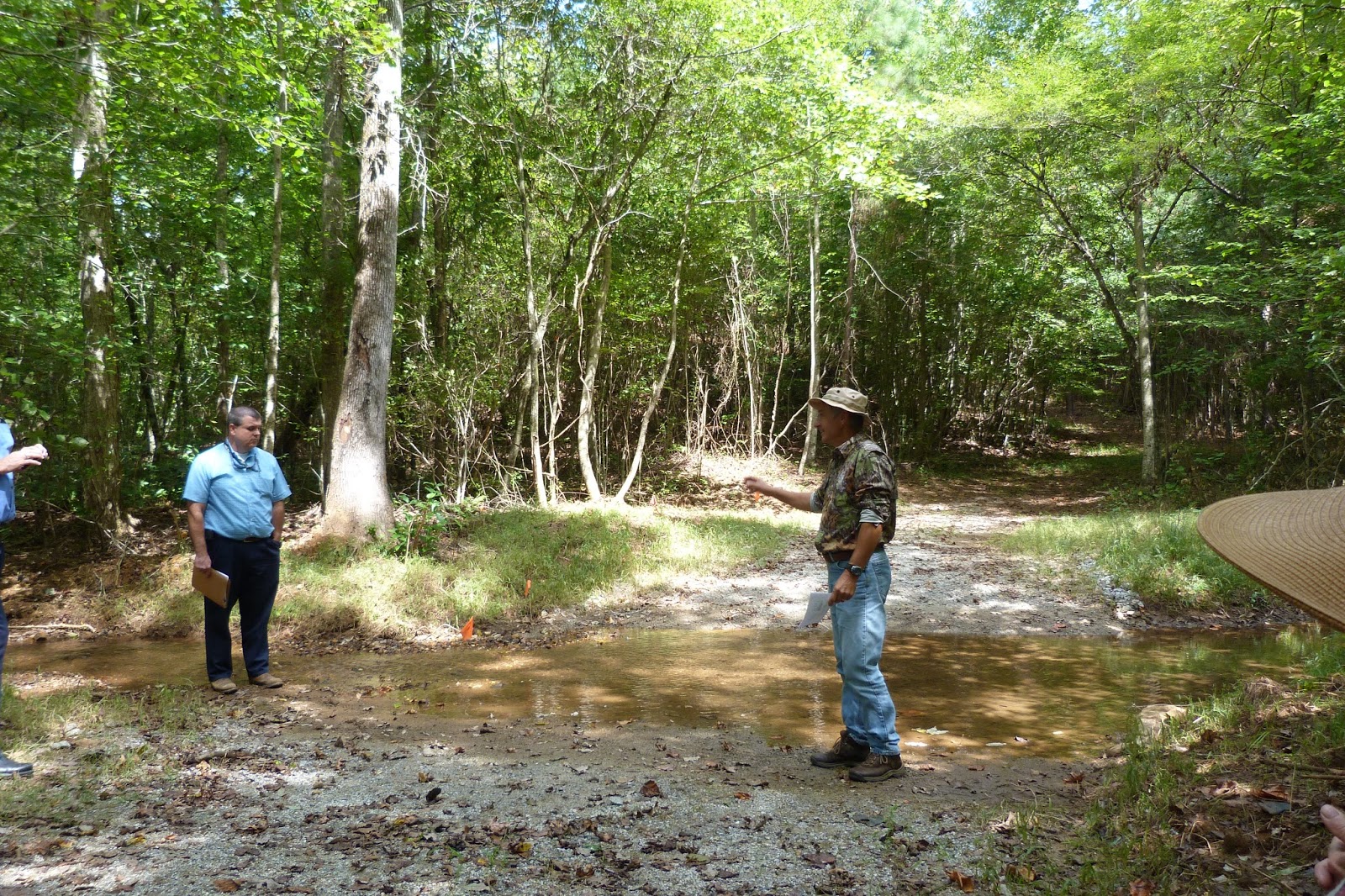 Dewberry Lands Stream Crossing and Forest Road Tour