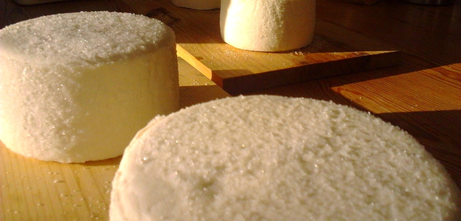 EL AFINADOR DE QUESOS : Elaboración de Quesos: Moldeado, prensado y salado