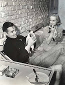 El gato de Clark Gable