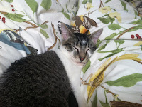 Slumbering beastie