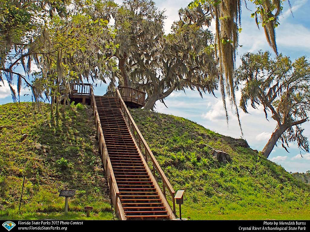 The Dizzy Traveler with Arthur Wooten Plantation At Crystal River
