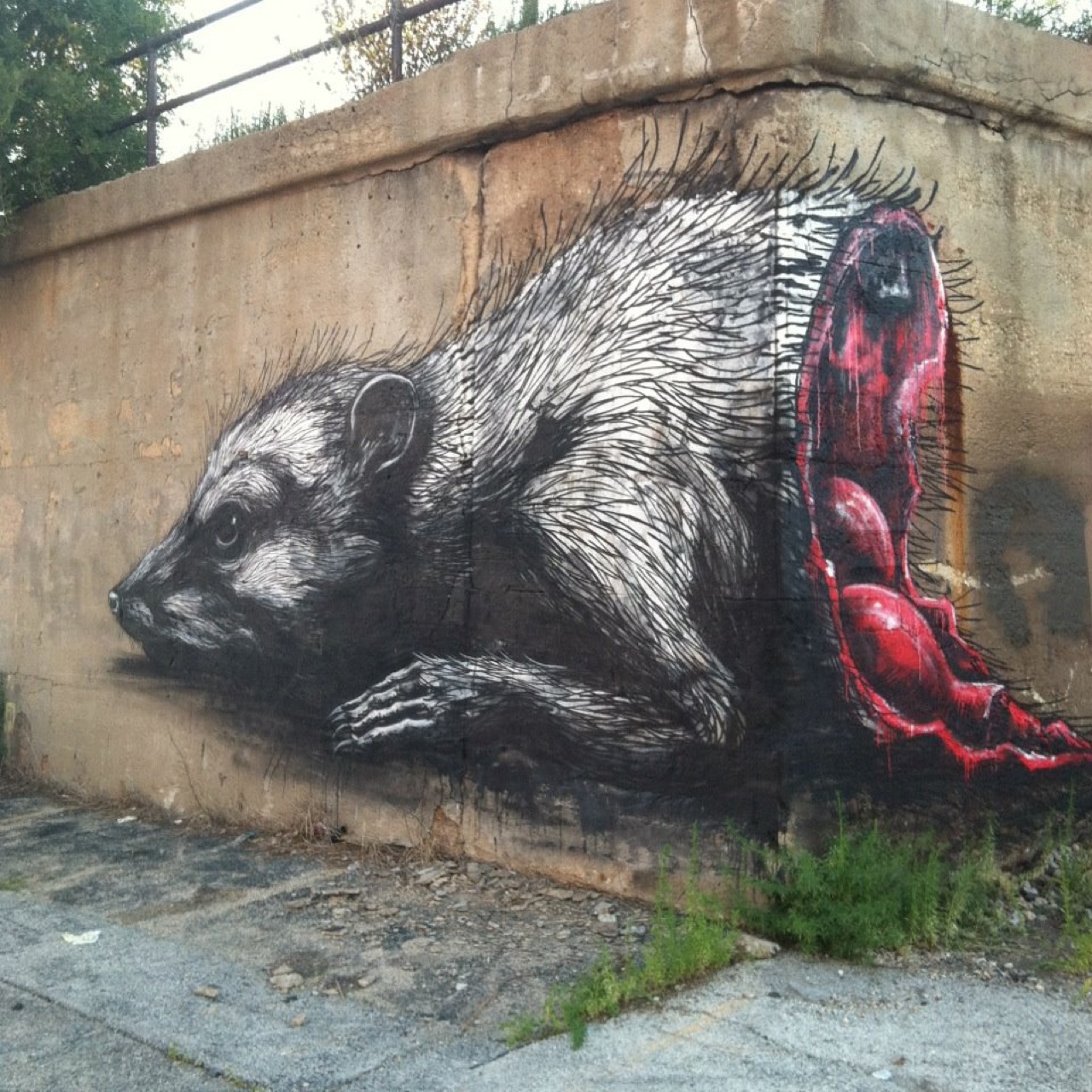 ROA New Mural In Chicago, USA StreetArtNews StreetArtNews