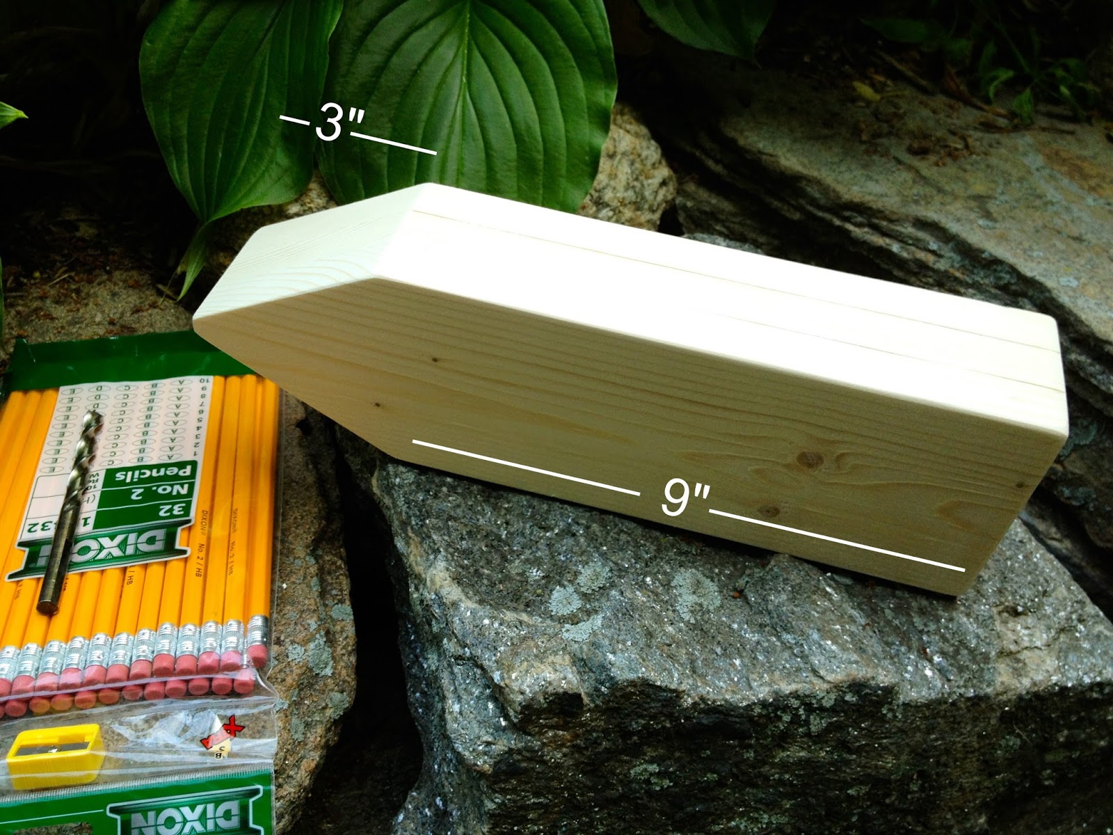 That's My Letter "P" is for Pencil Shaped Pencil Holder